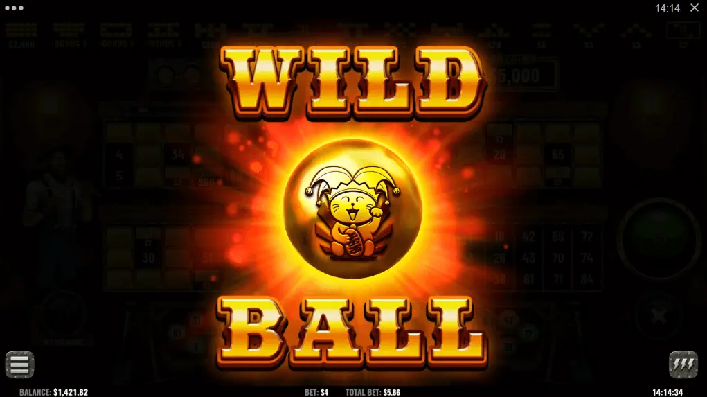 Wild Ball