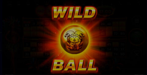 Wild Ball